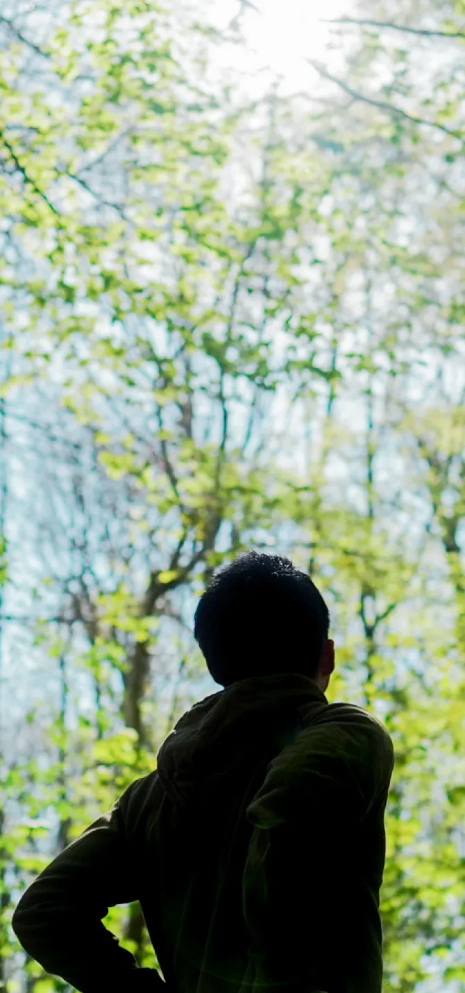 新緑の前に立つ人物の後ろ姿